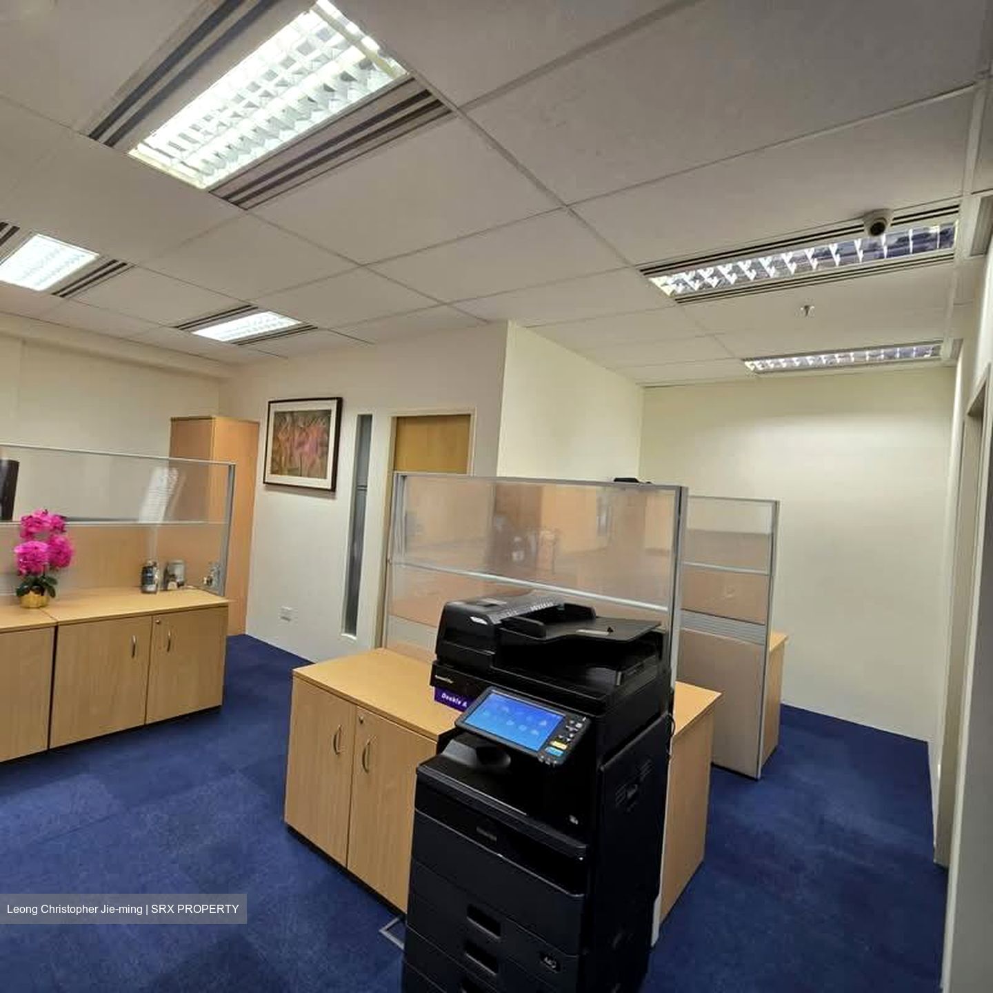 Tan Eng Kiam Building (D1), Office #557113531